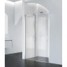 Душевая дверь BELBAGNO ACQUA-BF-1-100-C-Cr